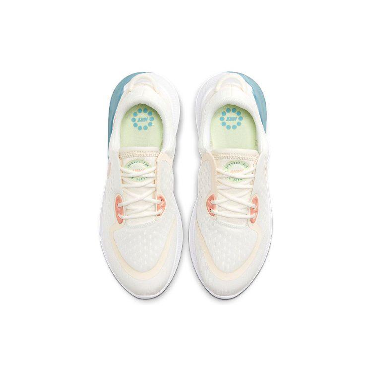 Nike Joyride Dual Run Sail Women's CD4363-104