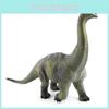 Lifelike Hollow Plastic Long Neck Dinosaur Figure For Kids And Adults Home Decor