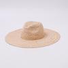 European and American Fashion Autumn New Product Natural Lafite Beach Sun Hat Seaside Vacation Sun Protection Oversized Brim Straw Hat