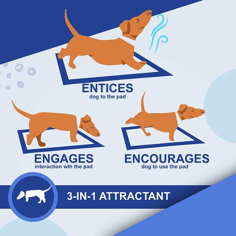 NEW Absorbent Dogs Diapers Disposable Puppy 20/40/50/100PCS Training Pee Pads Quick Dry Surface Mat Clean Cushion Dog Supplies