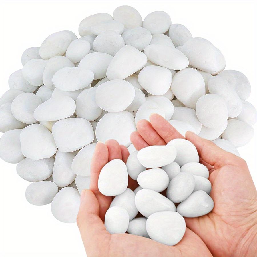 200g White Polished Natural River Pebbles 2-3cm Decorative Stones for Planters Aquariums Garden ZSY