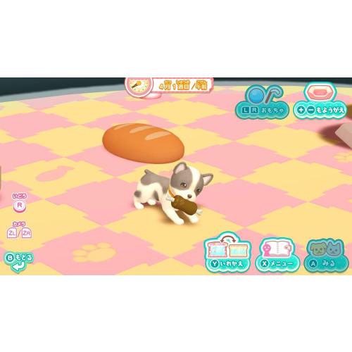 Wanny Pet Shop Every day with cute pets - Switch