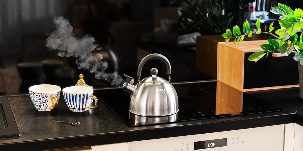 Teesa stainless steel kettle with whistle 1.8L gas induction