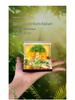 Flower Sea Tree Island Adventure Tree House with Lights: 3D Paper Art Calendar Gift and Romantic Decor Piece