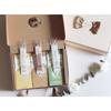 D'Ellie Gift Set Honey Sticks Acacia Chestnut Honey Sugar Honey - Sticks 10 pcs x 3 Types 300g 1 Set