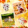 Xuniea 12 Pieces Fall Dog Bandanas Thanksgiving Day Bandanas for Dogs Maple Leaf Pumpkin Patterned Autumn Pet Triangle Kerchief Scarf Bibs for Small