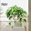 Easy Peel And Stick Home Decor Watercolor Potted Plant Wall Stickers, PVC Waterproof Hanging Pothos/Daisy Decals, Removable Green Leaf Stickers
