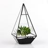 Cutie de terariu geometrică din sticlă piramidă pentru plante suculente cadou cadou negru