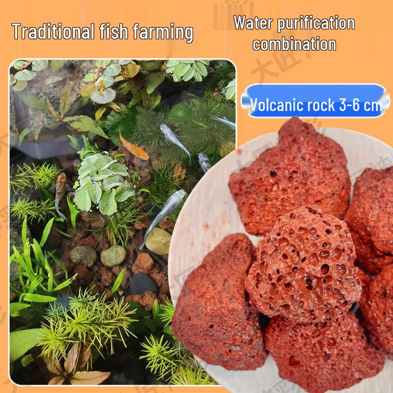 Lava Rock Stream Stone Set for Aquarium Substrate & Decoration