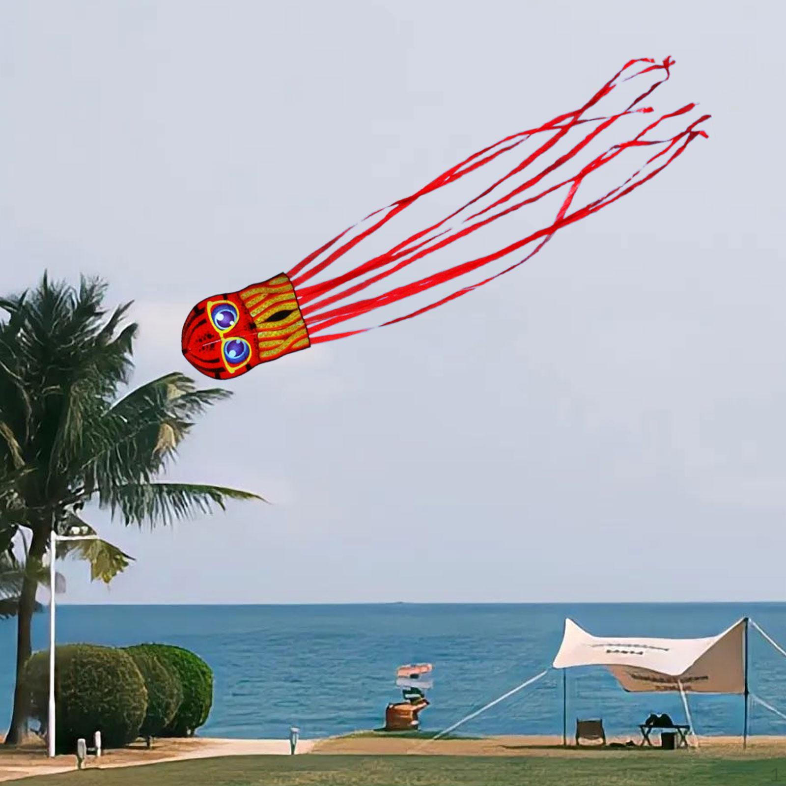 

Дизайнерский воздушный змей для детей, летающая игрушка с длинным хвостом, пляжное развлечение красный