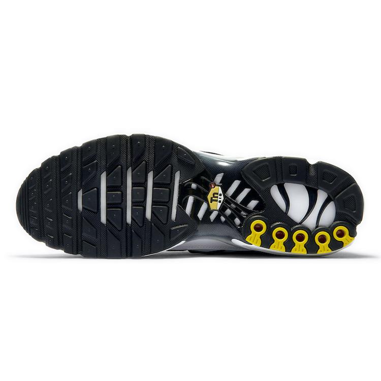 Nike Air Max Plus White Black Metallic Pewter CT1094-102