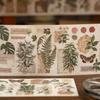 6sheets Vintage Plants Washi Sticker Decor Journal Supplies DIY Scrapbooking Material Creative Aesthetics Stationery