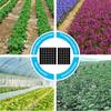 Hot Sale Plants Film Ground Cover Anti Grass Farm Vegetable