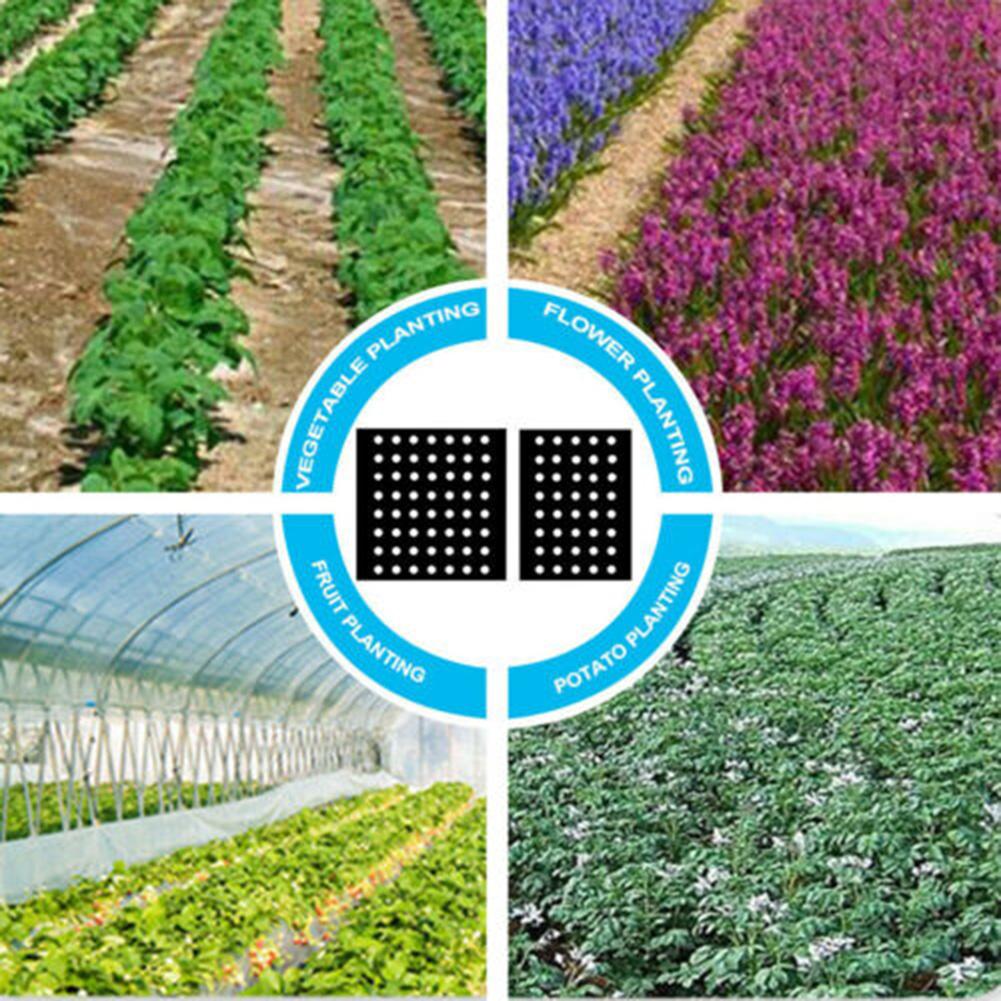 Hot Sale Plants Film Ground Cover Anti Grass Farm Vegetable