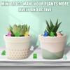 50Pcs Miniature Resin Frog Figurines Miniature Landscape Miniature Garden Frog Ornaments Frog DIY Craft Decorative Ornaments