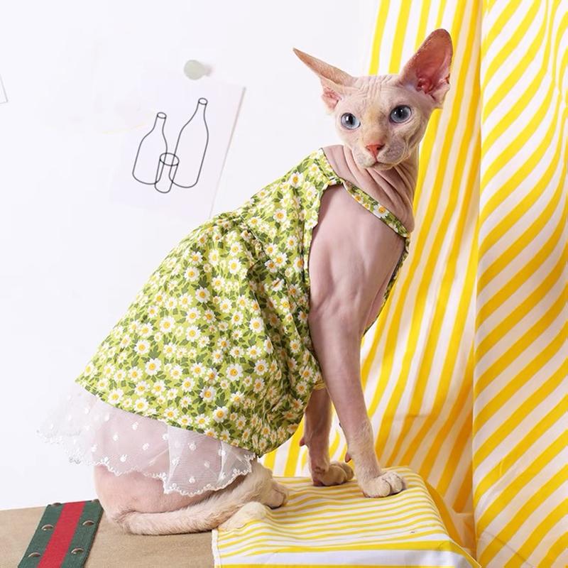 Sommer Sphynx Katze Hund Kleidung Luxus Prinzessin Kleidung Für Haarlosen Katzen Kostüm Kätzchen Weste Kostüm Welpen Rock Niedlich