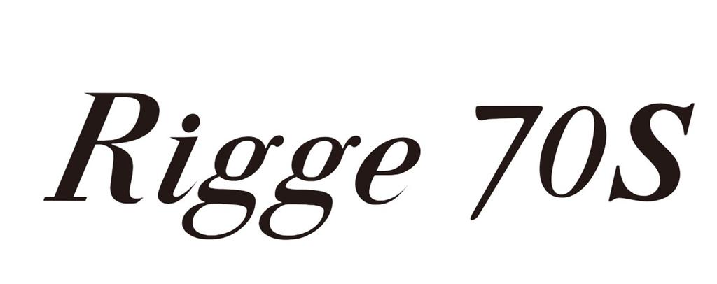 Zipbaits Rigge 70S Sinking Lure 510 (7873)
