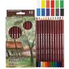 12Pcs Wood Pastel Pencil Set Basis Skin Pastel Color Pencil for Artist Drawing School Office