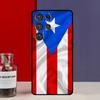Puerto Rican Flag Funda Case For Samsung Galaxy S25 Ultra S9 S10 S20 S21 S22 Plus S23 Ultra S24 FE Phone Cover