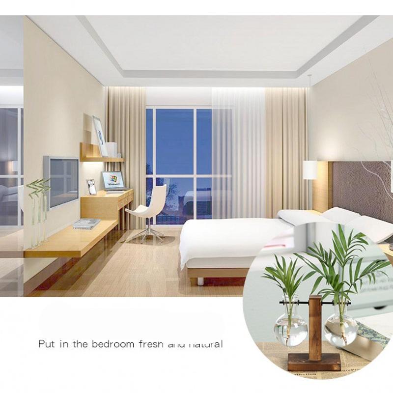 Creative Transparent Glass Plants Vase