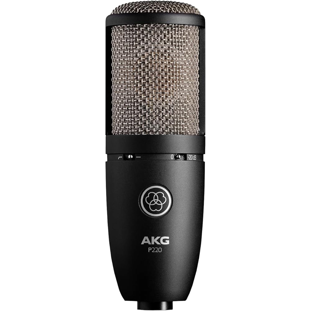 AKG (Arker Game) P220 Project Studio Line [Ideal for Vocal/piano/wind Instrument Recording, Durab...