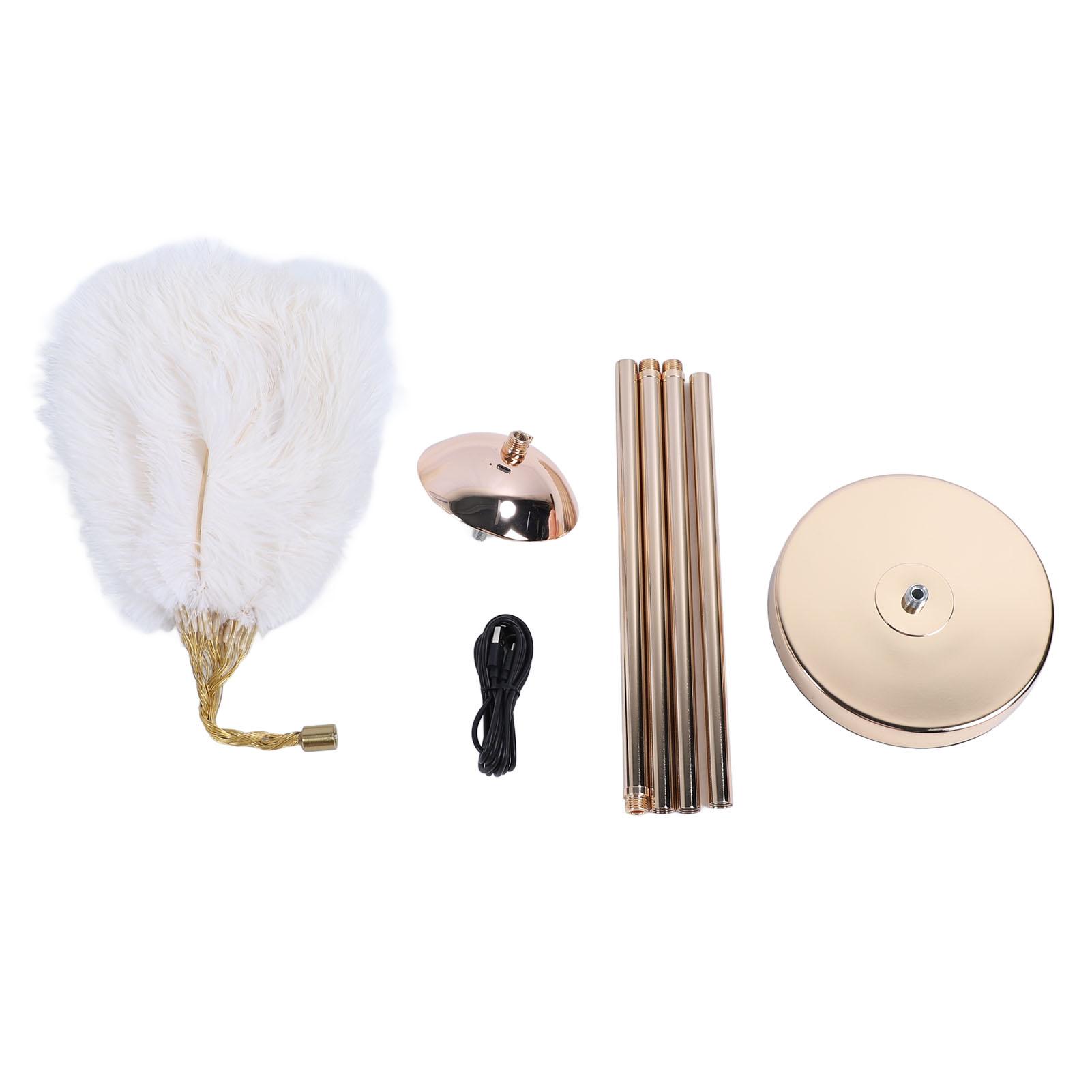 

Напольная лампа Ostrich Plume Iron Art 61 дюйм LED USB плавная регулировка яркости современная декоративная напольная лампа белый