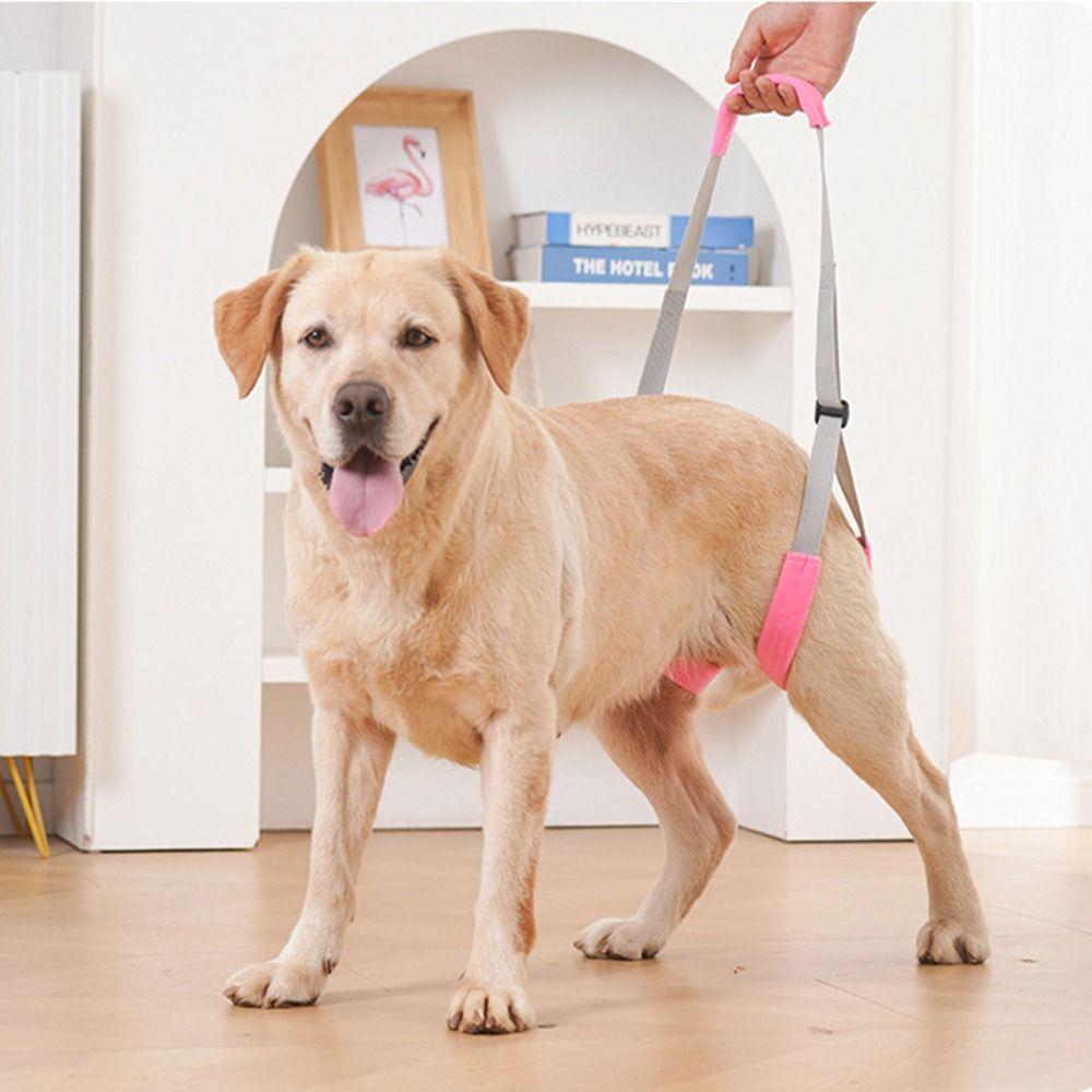 Soft Handle Pet Mobility Aid Adjustable Straps Dog Aid Sling Dog Lift Harness Elderly Dogs