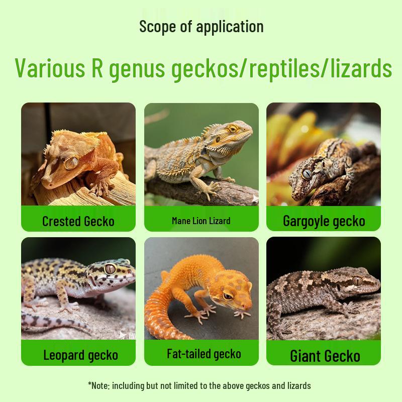 Lizard Calcium Powder: Reptile Nutritional Supplement for Geckos, Bearded Dragons, Blue Tongues, and Chameleons.
