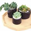 Succulent Flower Pot UV Resin Concrete Cement Silicone Mold Home Decor Clay Molds Casting Mould