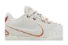 Nike LeBron 21 'Akoya'