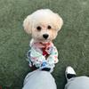 Polyester Dog Four Legged Pants With Shoes Dog Leg Protection Pants  Summer