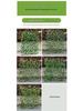 Retractable Grille with Faux Greenery for Balcony or Garden Decoration