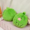 Soft Funny Creative Vegetable Plush Wallet Pendant Lovely Bitter Melon Keychain Green Doll Decorate Birthday Gift