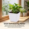 Mini Square Plastic Planter With Self Watering System For Succulents And Small Plants