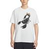 Nike Dri Fit SS25 AS M ACG OC SCORPION SUMMIT T Shirt Unisex HV1291-121