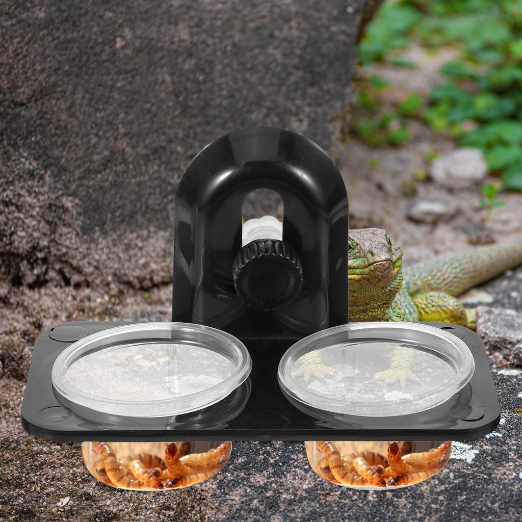 Reptile Feeder Bowl Screw Type Stable Food Container for Lizard Turtle Gecko Scorpion Centipede Feeding Supplies