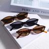 3 Pairs of Summer Women's Fashion Glasses Women's Glasses Suitable for Daily Decoration and Pography in Summer