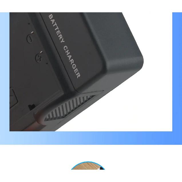 Für Olympus Kamera li-42b li40b Batterieladegerät FE-20,FE-150,FE-160,FE-190,FE-220,FE-220D FE-230,FE-240,FE-250,FE-280,FE-290,