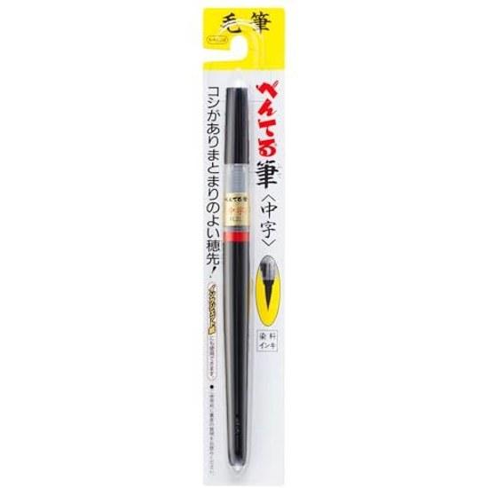 Pentel Brush Pen Medium Fine 2-Piece Set AMZ-XFL2LF