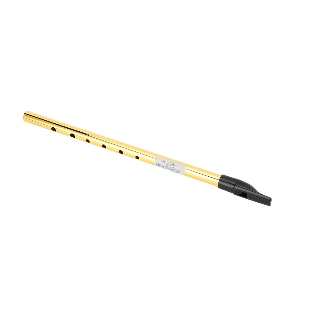 Irish Tin Whistle Wind Instrument - Accurate Tuning 6 (C Tuned)