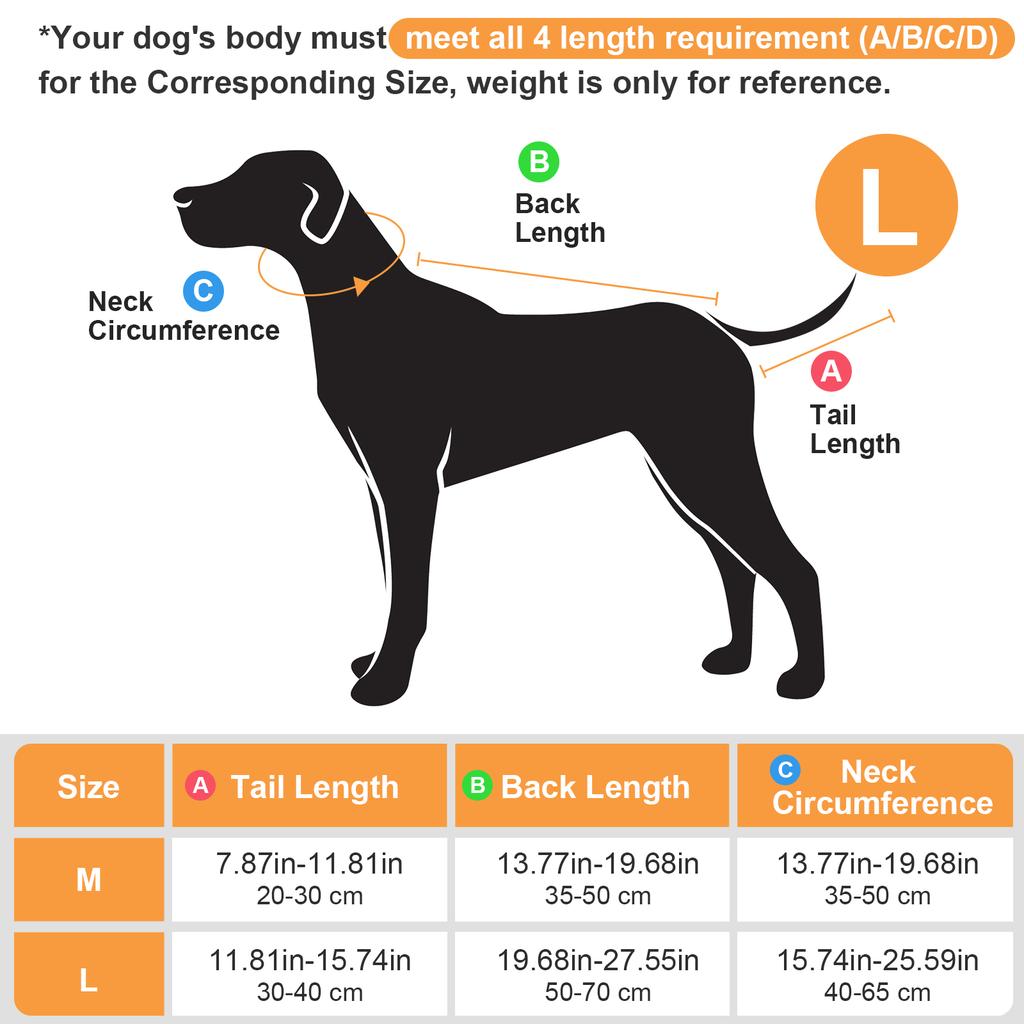 Protecteur de Queue de Chien Pratique à Porter Protections de Queue de Chien Confortable Protecteur de Queue de Chien Housses de Queue de Chien Accessoires Fournitures pour Animaux de Compagnie