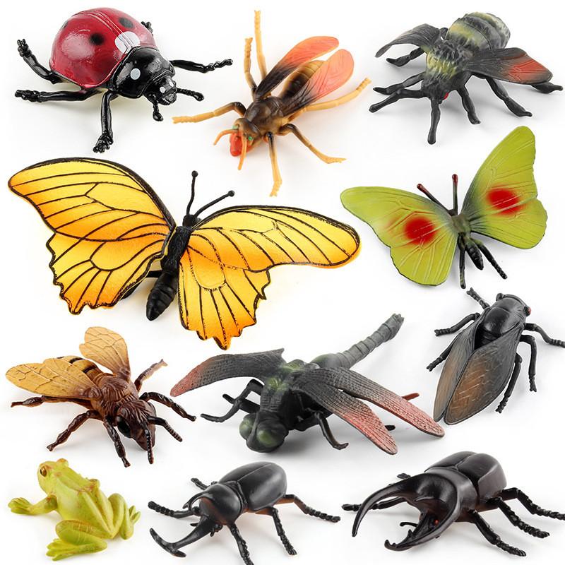 Realistic Pvc Insect Model Set Featuring Beetles Butterflies Ladybugs Caterpillars And More