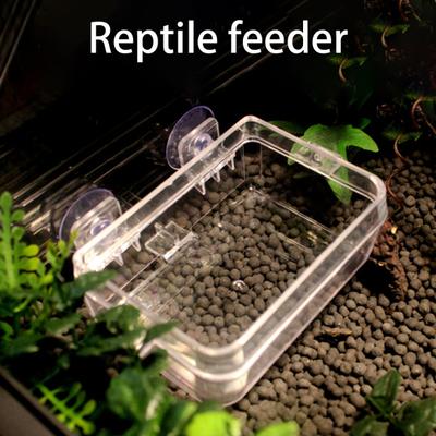 Yousheng Krabbelndes Haustier Futterspender Anti-Flucht Saugnapf Befestigt Nicht Leicht zu Fallen Abnehmbar Hohe Härte Eidechse Gecko Krabbelndes Haustier Schüssel für Zuhause