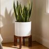 Indoor Corner Plant Stand Retro Wooden Display Rack Decorative Plant Shelves Support Plant Flower Bed Base Rack for Bedroom