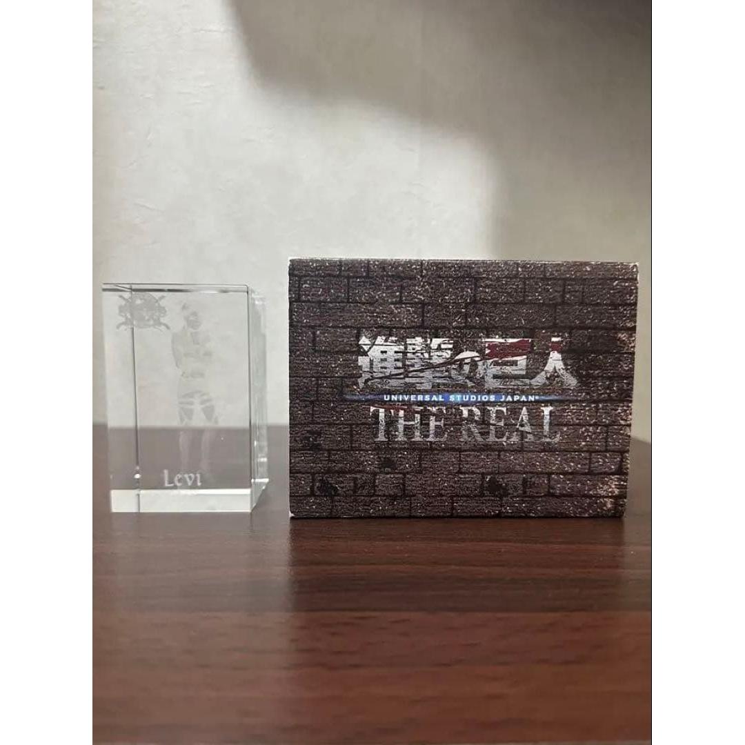 Used Levi THE REAL acrylic sculpture