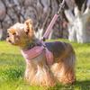 Comfortable Dog Harness Vest Adjustable Puppy Chest Strip Practical Dog Leash  for Puppy Dogs