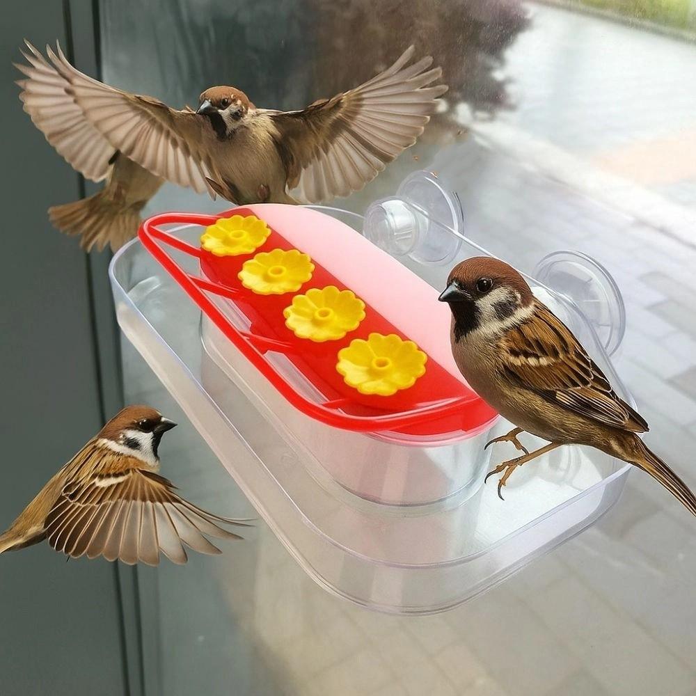 Suction Cups Bird Water Drinker Refillable Window Hanging Feeder Stable Bird Water Station  Balcony