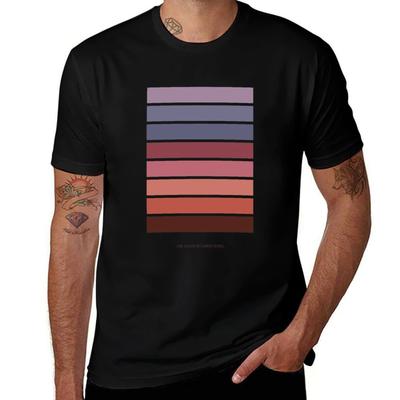 Üst giysisi – T-shirtler