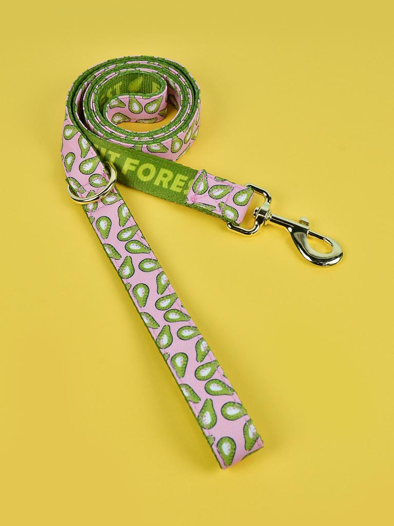 1 Pcs Summer Lovely Pet Traction Rope Double-Sided Printing Pet Dog And Cat Holiday Gift Leash