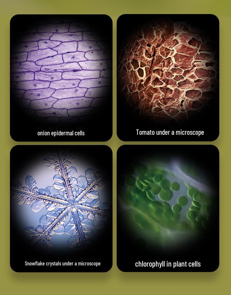 Microscop Mini Portabil pentru Copii: Jucărie Științifică Educațională pentru Studenți